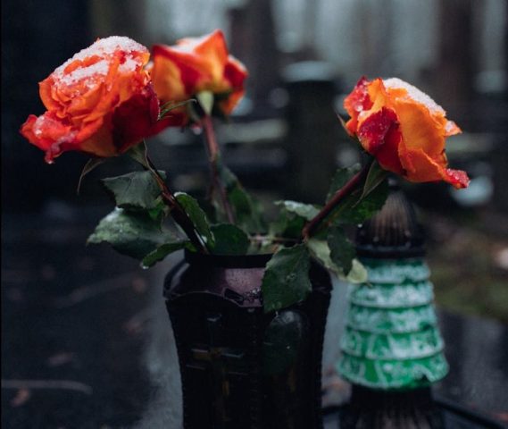 Dead in Car, teen dies, peniaga maut, wrong blood vessels, gadis maut, wanita maut, missing teen, trespassing, teenage daughter, roses on vases over a tomb